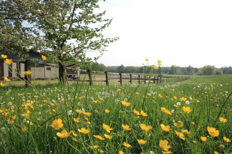 Vila Agriturismo Cargandino Mezzomerico Exteriér fotografie